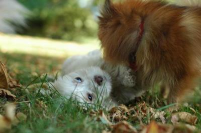 Oct6_04_262.JPG