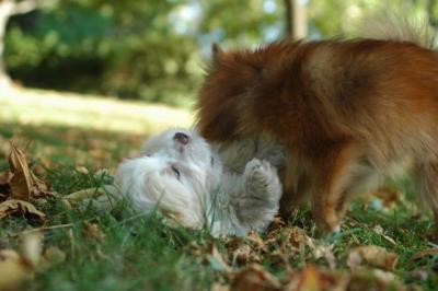 Oct6_04_263.JPG