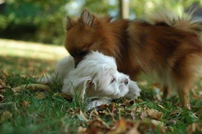 Oct6_04_265.JPG