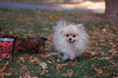 Oct6_04_327.JPG