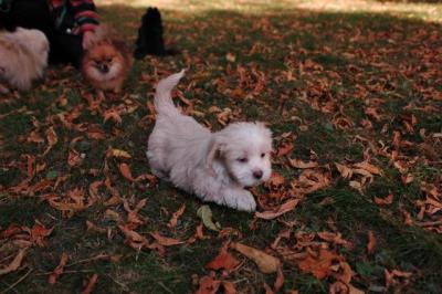 Oct6_04_330.JPG