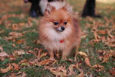 Oct6_04_332.JPG