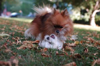 Oct6_04_337.JPG