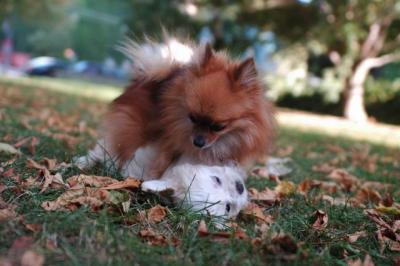 Oct6_04_338.JPG