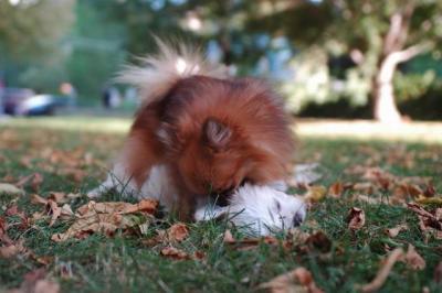 Oct6_04_342.JPG