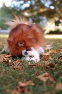 Oct6_04_343.JPG