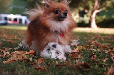 Oct6_04_344.JPG