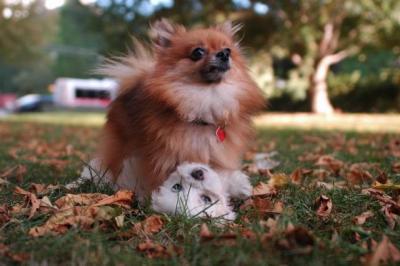 Oct6_04_345.JPG