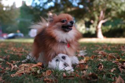 Oct6_04_346.JPG
