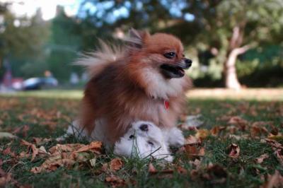 Oct6_04_347.JPG