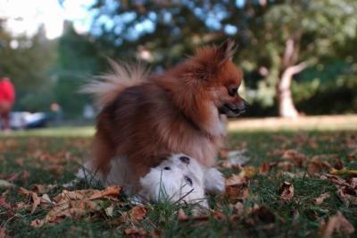 Oct6_04_349.JPG