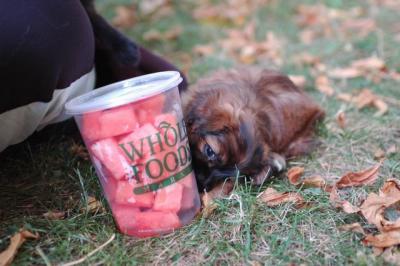 Oct6_04_357.JPG