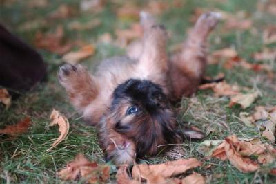 Oct6_04_367.JPG