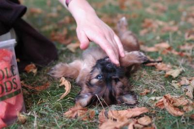 Oct6_04_370.JPG