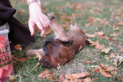 Oct6_04_376.JPG