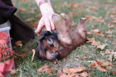 Oct6_04_377.JPG