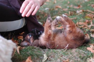 Oct6_04_387.JPG