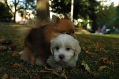 Oct6_04_395.JPG