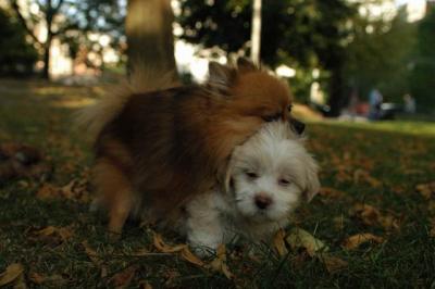 Oct6_04_396.JPG