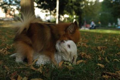 Oct6_04_398.JPG