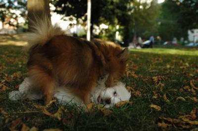 Oct6_04_400.JPG