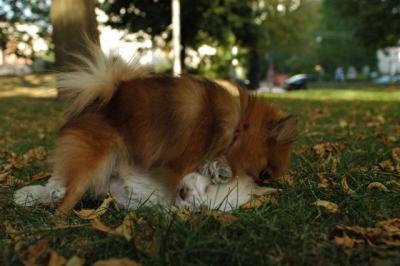 Oct6_04_401.JPG
