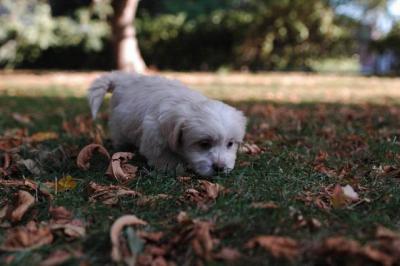 Oct6_04_406.JPG