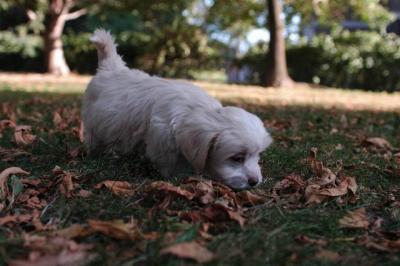 Oct6_04_409.JPG