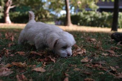 Oct6_04_410.JPG