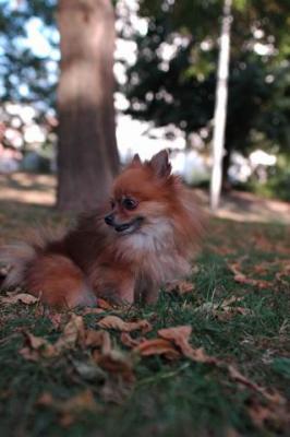 Oct6_04_413.JPG