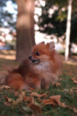 Oct6_04_415.JPG