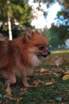 Oct6_04_418.JPG