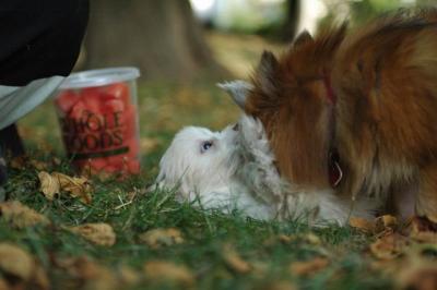 Oct6_04_425.JPG