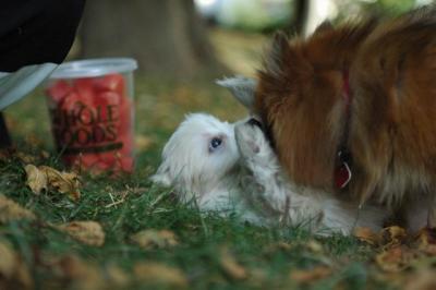 Oct6_04_426.JPG