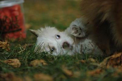 Oct6_04_430.JPG
