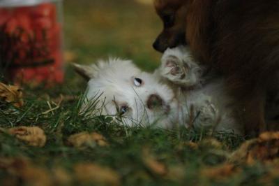 Oct6_04_432.JPG
