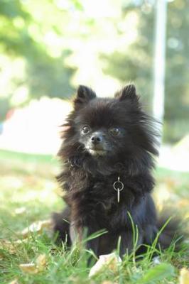 Oct6_04_437.JPG
