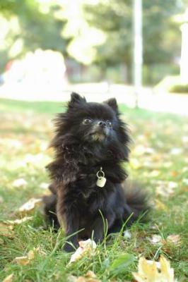 Oct6_04_441.JPG