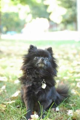 Oct6_04_444.JPG
