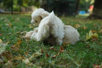 Oct6_04_445.JPG