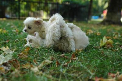 Oct6_04_446.JPG