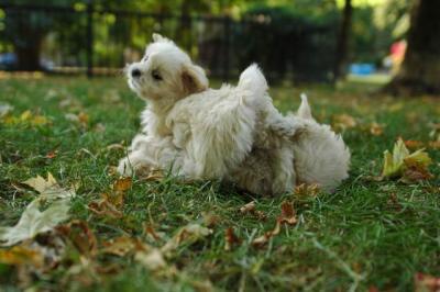 Oct6_04_447.JPG