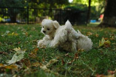 Oct6_04_448.JPG
