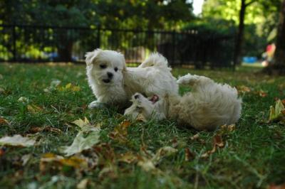 Oct6_04_450.JPG
