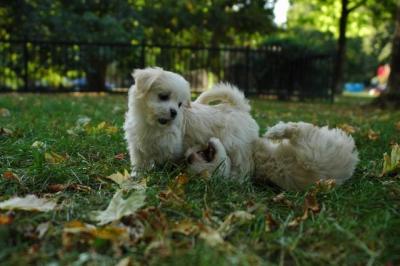 Oct6_04_451.JPG