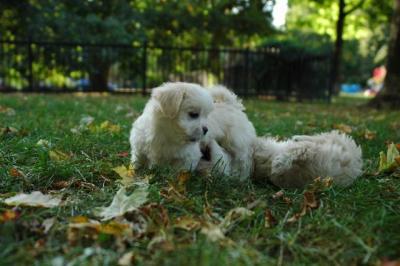 Oct6_04_452.JPG