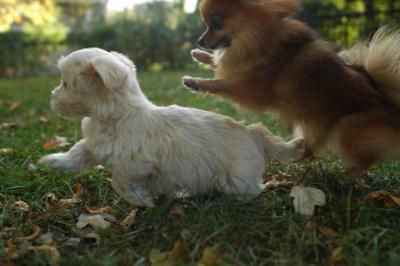 Oct6_04_456.JPG