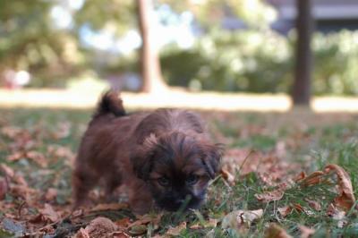 Oct6_04_468.JPG