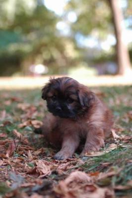 Oct6_04_476.JPG