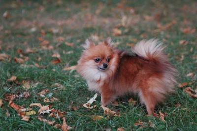 Oct6_04_481.JPG